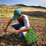 Kır Evi Dafne *