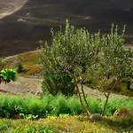 Kır Evi Dafne *
