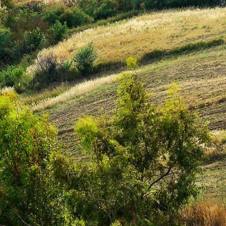 בית כפרי Dafne