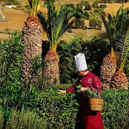 达芙妮别墅酒店 乡村民宿