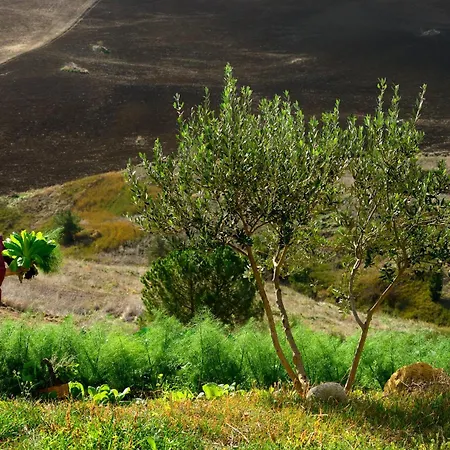乡村民宿 达芙妮别墅酒店 *
