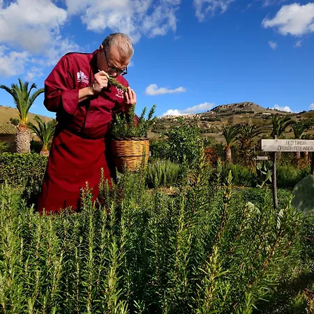 达芙妮别墅酒店 乡村民宿 *