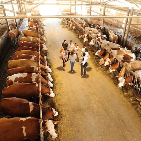 Dafne カントリーハウス