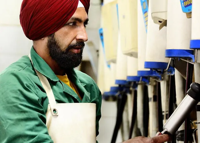 Lantställe Dafne Alia